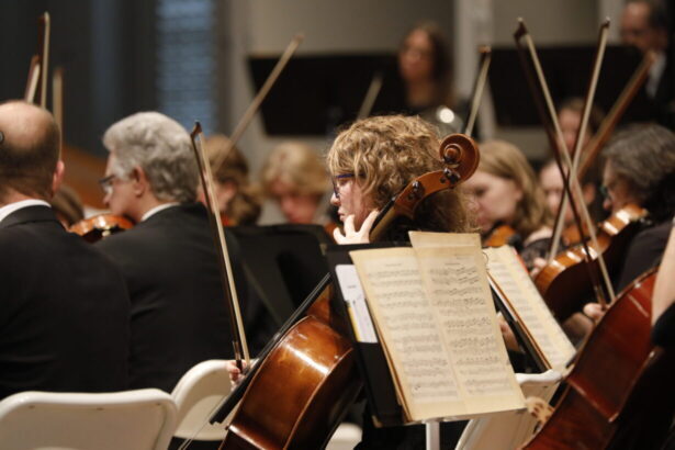 Gallery–Cellos 02